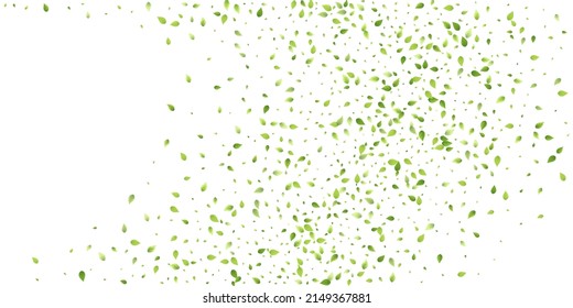 Leaves Green Falling. Spring Flying Foliage. Chaotic Leaf On White Background. Ecology Design, Nature Elements. Spring Sale Vector Illustration. Greenery Environment Backdrop.