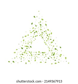 Leaves Green Falling. Spring Flying Foliage. Chaotic Leaf On White Background. Ecology Design, Nature Elements. Spring Sale Vector Illustration. Greenery Environment Backdrop.