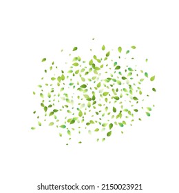 Leaves Green Falling. Spring Flying Foliage. Chaotic Leaf On White Background. Ecology Design, Nature Elements. Spring Sale Vector Illustration. Greenery Environment Backdrop.