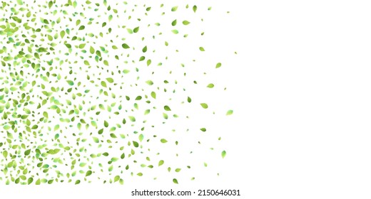 Leaves Green Falling. Spring Flying Foliage. Chaotic Leaf On White Background. Ecology Design, Nature Elements. Spring Sale Vector Illustration. Greenery Environment Backdrop.