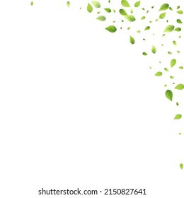 Leaves Green Falling. Spring Flying Foliage. Chaotic Leaf On White Background. Ecology Design, Nature Elements. Spring Sale Vector Illustration. Greenery Environment Backdrop.