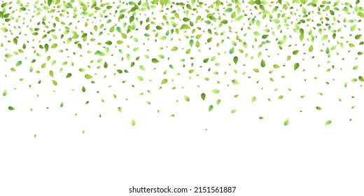 Leaves Green Falling. Spring Flying Foliage. Chaotic Leaf On White Background. Ecology Design, Nature Elements. Spring Sale Vector Illustration. Greenery Environment Backdrop.
