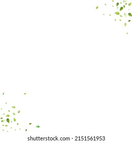 Leaves Green Falling. Spring Flying Foliage. Chaotic Leaf On White Background. Ecology Design, Nature Elements. Spring Sale Vector Illustration. Greenery Environment Backdrop.