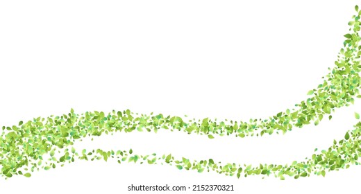 Leaves Green Falling. Spring Flying Foliage. Chaotic Leaf On White Background. Ecology Design, Nature Elements. Spring Sale Vector Illustration. Greenery Environment Backdrop.