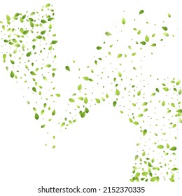 Leaves Green Falling. Spring Flying Foliage. Chaotic Leaf On White Background. Ecology Design, Nature Elements. Spring Sale Vector Illustration. Greenery Environment Backdrop.