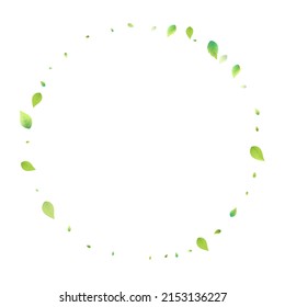 Leaves Green Falling. Spring Flying Foliage. Chaotic Leaf On White Background. Ecology Design, Nature Elements. Spring Sale Vector Illustration. Greenery Environment Backdrop.