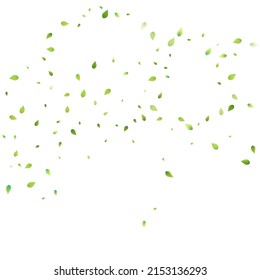 Leaves Green Falling. Spring Flying Foliage. Chaotic Leaf On White Background. Ecology Design, Nature Elements. Spring Sale Vector Illustration. Greenery Environment Backdrop.