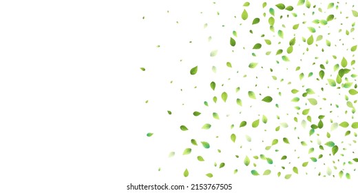 Leaves Green Falling. Spring Flying Foliage. Chaotic Leaf On White Background. Ecology Design, Nature Elements. Spring Sale Vector Illustration. Greenery Environment Backdrop.