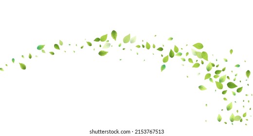 Leaves Green Falling. Spring Flying Foliage. Chaotic Leaf On White Background. Ecology Design, Nature Elements. Spring Sale Vector Illustration. Greenery Environment Backdrop.