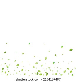 Leaves Green Falling. Spring Flying Foliage. Chaotic Leaf On White Background. Ecology Design, Nature Elements. Spring Sale Vector Illustration. Greenery Environment Backdrop.