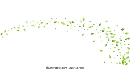 Deja La Caída Verde. Foliage volador de primavera. Hoja Caótica Sobre Fondo Blanco. Diseño ecológico, elementos naturales. Ilustración de vectores de venta de primavera. Entorno verde