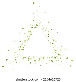 Leaves Green Falling. Spring Flying Foliage. Chaotic Leaf On White Background. Ecology Design, Nature Elements. Spring Sale Vector Illustration. Greenery Environment Backdrop.