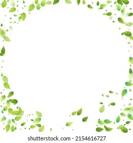 Leaves Green Falling. Spring Flying Foliage. Chaotic Leaf On White Background. Ecology Design, Nature Elements. Spring Sale Vector Illustration. Greenery Environment Backdrop.