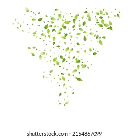 Leaves Green Falling. Spring Flying Foliage. Chaotic Leaf On White Background. Ecology Design, Nature Elements. Spring Sale Vector Illustration. Greenery Environment Backdrop.