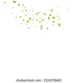 Leaves Green Falling. Spring Flying Foliage. Chaotic Leaf On White Background. Ecology Design, Nature Elements. Spring Sale Vector Illustration. Greenery Environment Backdrop.