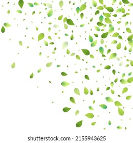 Leaves Green Falling. Spring Flying Foliage. Chaotic Leaf On White Background. Ecology Design, Nature Elements. Spring Sale Vector Illustration. Greenery Environment Backdrop.