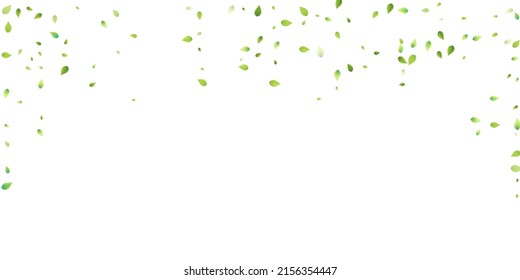 Leaves Green Falling. Spring Flying Foliage. Chaotic Leaf On White Background. Ecology Design, Nature Elements. Spring Sale Vector Illustration. Greenery Environment Backdrop.