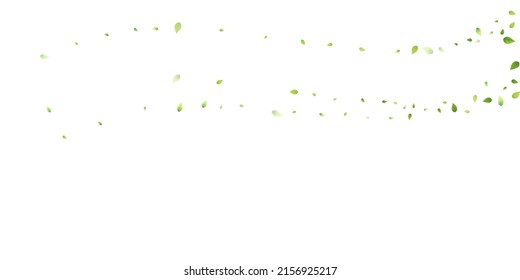 Leaves Green Falling. Spring Flying Foliage. Chaotic Leaf On White Background. Ecology Design, Nature Elements. Spring Sale Vector Illustration. Greenery Environment Backdrop.