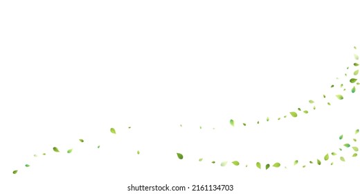 Leaves Green Falling. Spring Flying Foliage. Chaotic Leaf On White Background. Ecology Design, Nature Elements. Spring Sale Vector Illustration. Greenery Environment Backdrop.