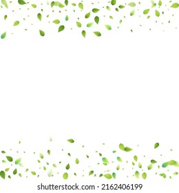 Leaves Green Falling. Spring Flying Foliage. Chaotic Leaf On White Background. Ecology Design, Nature Elements. Spring Sale Vector Illustration. Greenery Environment Backdrop.