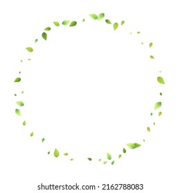 Leaves Green Falling. Spring Flying Foliage. Chaotic Leaf On White Background. Ecology Design, Nature Elements. Spring Sale Vector Illustration. Greenery Environment Backdrop.