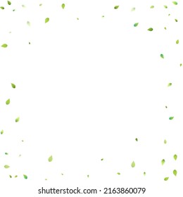 Leaves Green Falling. Spring Flying Foliage. Chaotic Leaf On White Background. Ecology Design, Nature Elements. Spring Sale Vector Illustration. Greenery Environment Backdrop.