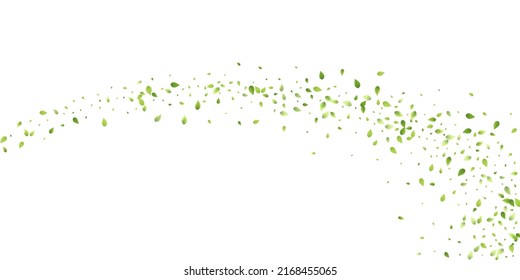 Leaves Green Falling. Spring Flying Foliage. Chaotic Leaf On White Background. Ecology Design, Nature Elements. Spring Sale Vector Illustration. Greenery Environment Backdrop.