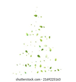 Deja La Caída Verde. Foliage volador de primavera. Hoja Caótica Sobre Fondo Blanco. Diseño ecológico, elementos naturales. Ilustración de vectores de venta de primavera. Entorno verde