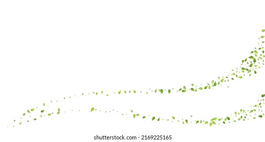 Leaves Green Falling. Spring Flying Foliage. Chaotic Leaf On White Background. Ecology Design, Nature Elements. Spring Sale Vector Illustration. Greenery Environment Backdrop.