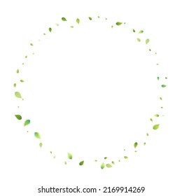 Deja La Caída Verde. Foliage volador de primavera. Hoja Caótica Sobre Fondo Blanco. Diseño ecológico, elementos naturales. Ilustración de vectores de venta de primavera. Entorno verde