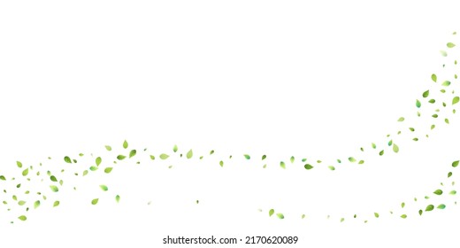 Leaves Green Falling. Spring Flying Foliage. Chaotic Leaf On White Background. Ecology Design, Nature Elements. Spring Sale Vector Illustration. Greenery Environment Backdrop.