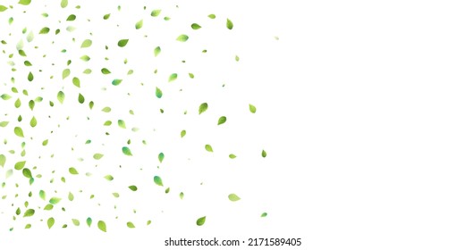 Leaves Green Falling. Spring Flying Foliage. Chaotic Leaf On White Background. Ecology Design, Nature Elements. Spring Sale Vector Illustration. Greenery Environment Backdrop.