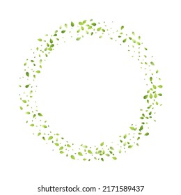 Leaves Green Falling. Spring Flying Foliage. Chaotic Leaf On White Background. Ecology Design, Nature Elements. Spring Sale Vector Illustration. Greenery Environment Backdrop.
