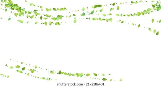 Leaves Green Falling. Spring Flying Foliage. Chaotic Leaf On White Background. Ecology Design, Nature Elements. Spring Sale Vector Illustration. Greenery Environment Backdrop.