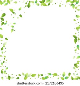 Leaves Green Falling. Spring Flying Foliage. Chaotic Leaf On White Background. Ecology Design, Nature Elements. Spring Sale Vector Illustration. Greenery Environment Backdrop.