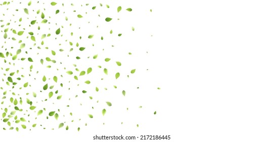 Leaves Green Falling. Spring Flying Foliage. Chaotic Leaf On White Background. Ecology Design, Nature Elements. Spring Sale Vector Illustration. Greenery Environment Backdrop.