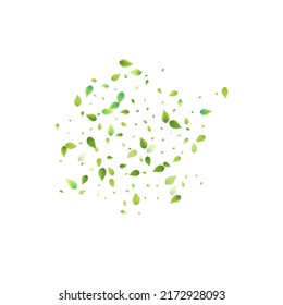 Leaves Green Falling. Spring Flying Foliage. Chaotic Leaf On White Background. Ecology Design, Nature Elements. Spring Sale Vector Illustration. Greenery Environment Backdrop.