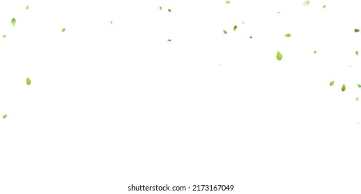 Leaves Green Falling. Spring Flying Foliage. Chaotic Leaf On White Background. Ecology Design, Nature Elements. Spring Sale Vector Illustration. Greenery Environment Backdrop.