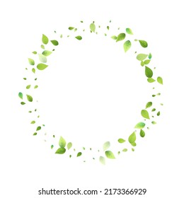 Leaves Green Falling. Spring Flying Foliage. Chaotic Leaf On White Background. Ecology Design, Nature Elements. Spring Sale Vector Illustration. Greenery Environment Backdrop.