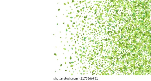 Leaves Green Falling. Spring Flying Foliage. Chaotic Leaf On White Background. Ecology Design, Nature Elements. Spring Sale Vector Illustration. Greenery Environment Backdrop.