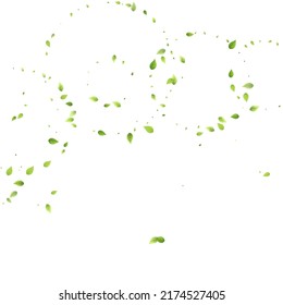 Leaves Green Falling. Spring Flying Foliage. Chaotic Leaf On White Background. Ecology Design, Nature Elements. Spring Sale Vector Illustration. Greenery Environment Backdrop.
