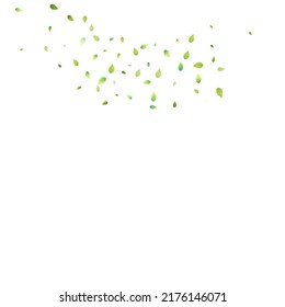 Leaves Green Falling. Spring Flying Foliage. Chaotic Leaf On White Background. Ecology Design, Nature Elements. Spring Sale Vector Illustration. Greenery Environment Backdrop.