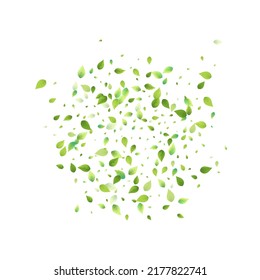 Leaves Green Falling. Spring Flying Foliage. Chaotic Leaf On White Background. Ecology Design, Nature Elements. Spring Sale Vector Illustration. Greenery Environment Backdrop.