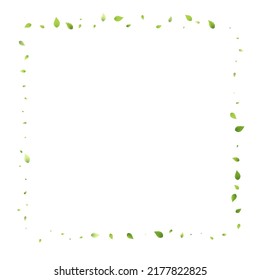 Leaves Green Falling. Spring Flying Foliage. Chaotic Leaf On White Background. Ecology Design, Nature Elements. Spring Sale Vector Illustration. Greenery Environment Backdrop.