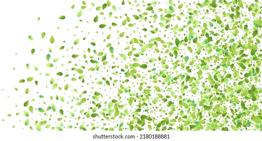 Leaves Green Falling. Spring Flying Foliage. Chaotic Leaf On White Background. Ecology Design, Nature Elements. Spring Sale Vector Illustration. Greenery Environment Backdrop.