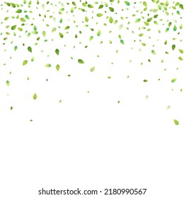 Leaves Green Falling. Spring Flying Foliage. Chaotic Leaf On White Background. Ecology Design, Nature Elements. Spring Sale Vector Illustration. Greenery Environment Backdrop.