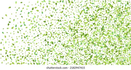 Leaves Green Falling. Spring Flying Foliage. Chaotic Leaf On White Background. Ecology Design, Nature Elements. Spring Sale Vector Illustration. Greenery Environment Backdrop.