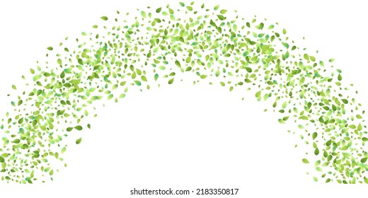 Leaves Green Falling. Spring Flying Foliage. Chaotic Leaf On White Background. Ecology Design, Nature Elements. Spring Sale Vector Illustration. Greenery Environment Backdrop.