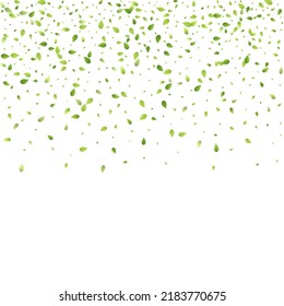 Leaves Green Falling. Spring Flying Foliage. Chaotic Leaf On White Background. Ecology Design, Nature Elements. Spring Sale Vector Illustration. Greenery Environment Backdrop.