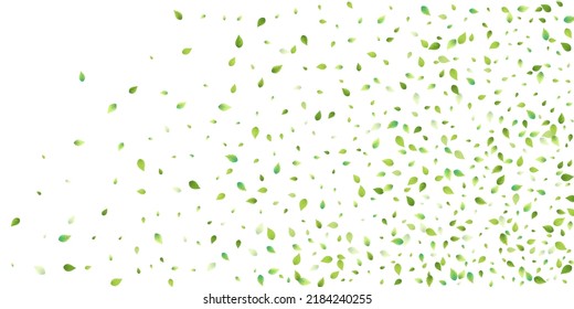 Leaves Green Falling. Spring Flying Foliage. Chaotic Leaf On White Background. Ecology Design, Nature Elements. Spring Sale Vector Illustration. Greenery Environment Backdrop.